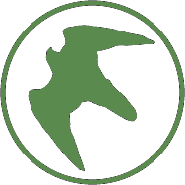 Falcons Forever logo